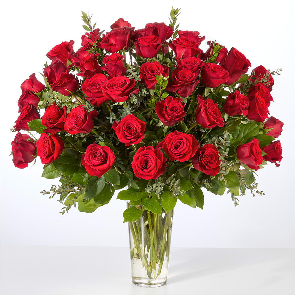 Forever Yours Fifty Stem Red Rose Bouquet –  Moonlight Floral, Minneapolis MN