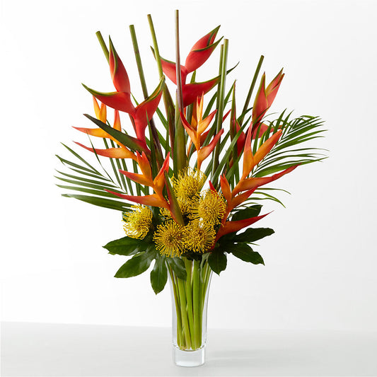 The Drama –  Moonlight Floral, Minneapolis MN