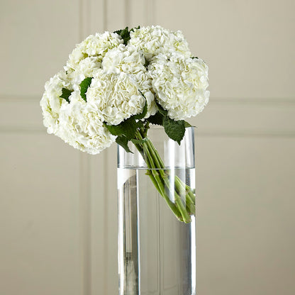 White Hydrangea Hand-Tied Bouquet –  Moonlight Floral, Minneapolis MN