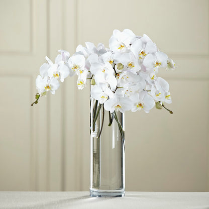 White Phalaenopsis Bouquet –  Moonlight Floral, Minneapolis MN